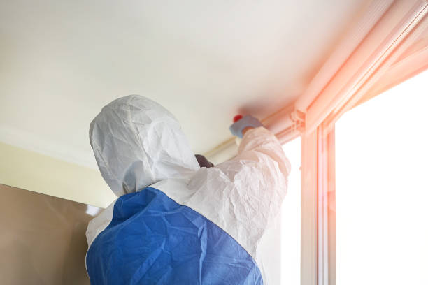 Why You Should Choose Our Mold Remediation Services in Pecatonica, IL